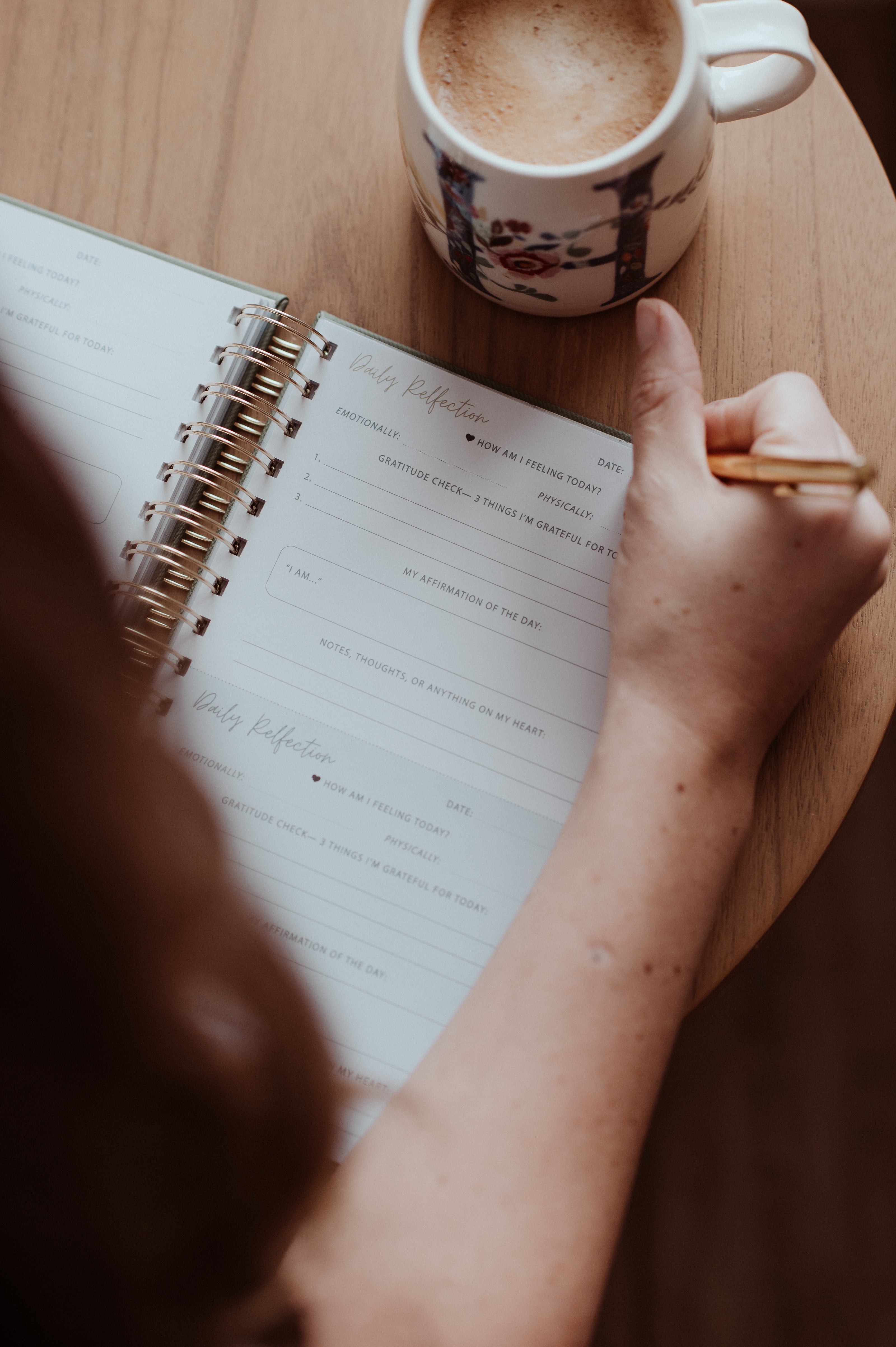 IVF Planner and Journal