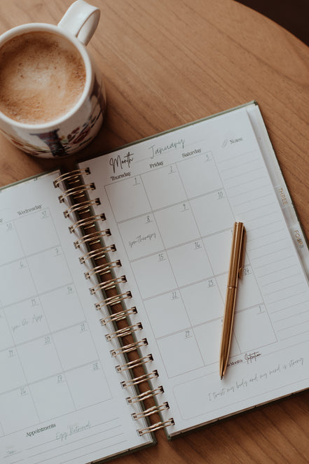 IVF Planner and Journal